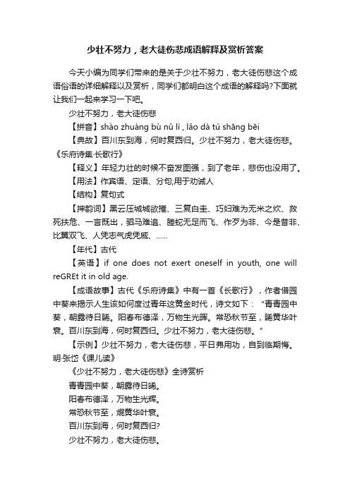 少壮不努力，老大徒伤悲成语解释及赏析答案