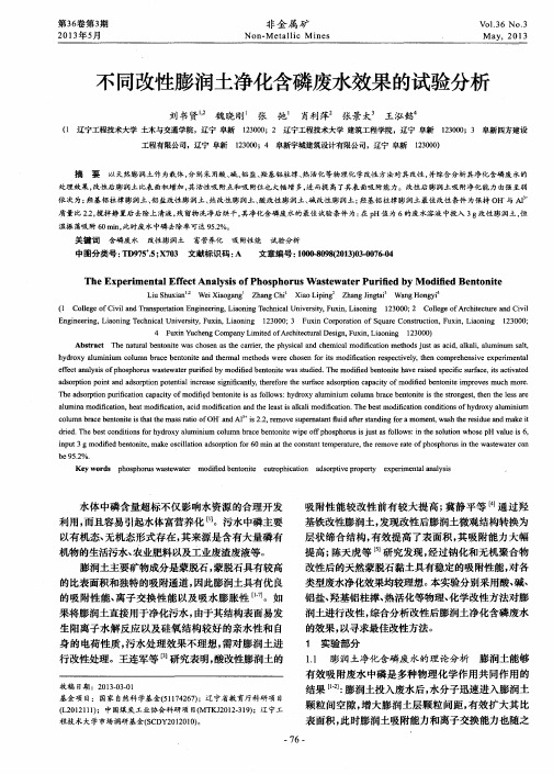 不同改性膨润土净化含磷废水效果的试验分析