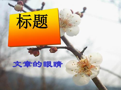 初中作文选材与章法PPT (共14张PPT)