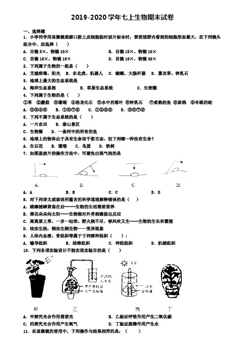 (4份试卷汇总)2019-2020学年河北省邢台市生物七年级(上)期末检测模拟试题