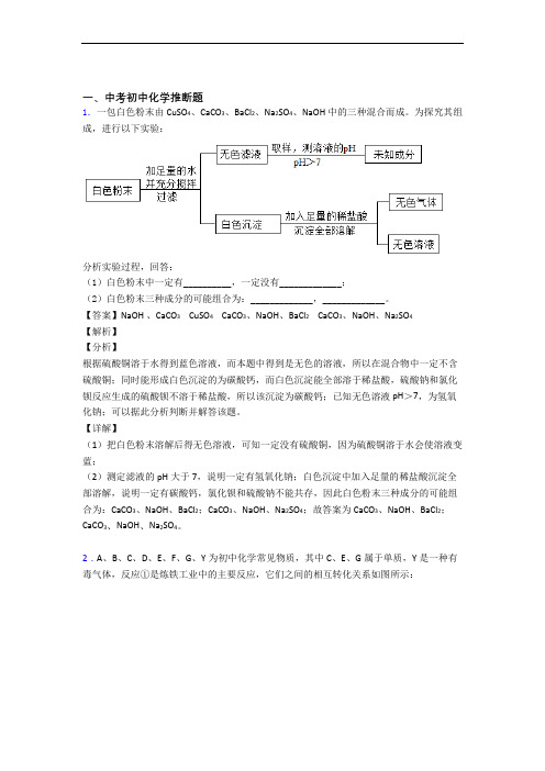 培优推断题辅导专题训练及详细答案