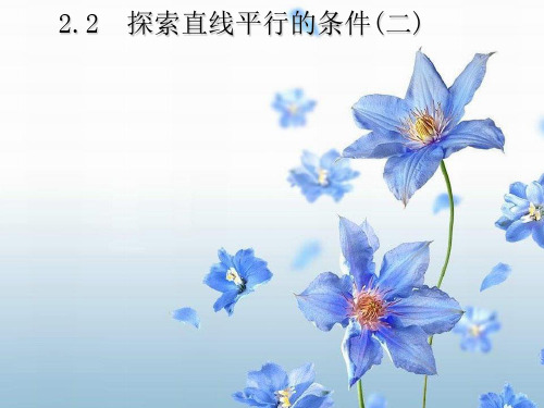 2021年北师大版七年级数学下册第二章《探索直线平行的条件(2)》公开课课件.ppt