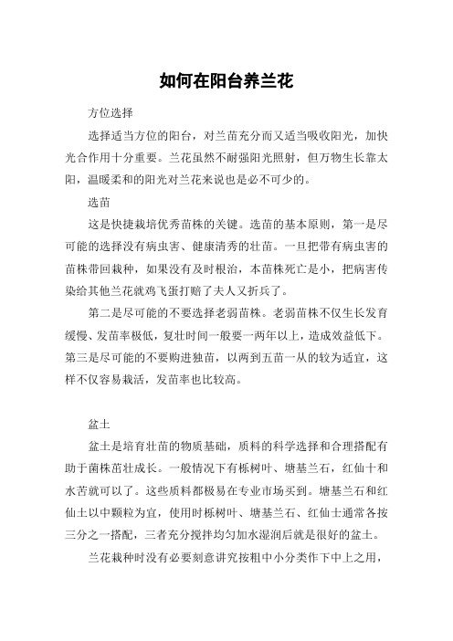 如何在阳台养兰花