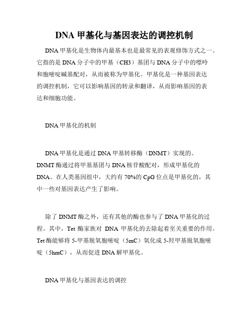 DNA甲基化与基因表达的调控机制