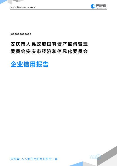 安庆市人民政府国有资产监督管理委员会安庆市经济和信息化委员会企业信用报告-天眼查