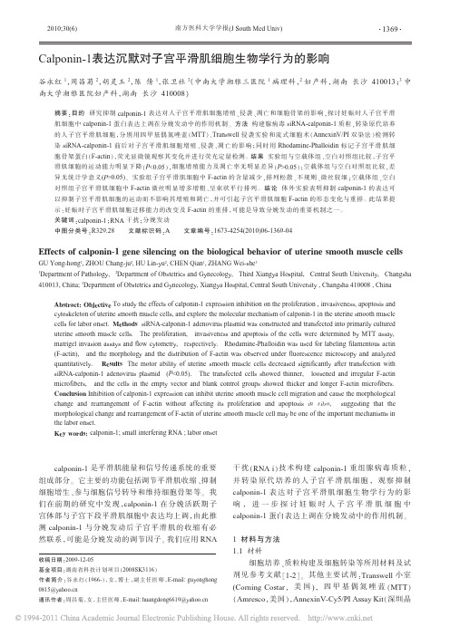 Calponin_1表达沉默对子宫平滑肌细胞生物学行为的影响