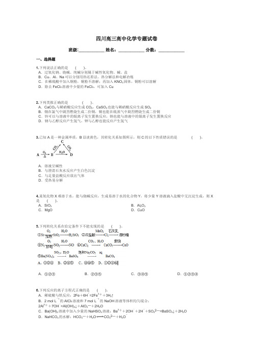 四川高三高中化学专题试卷带答案解析
