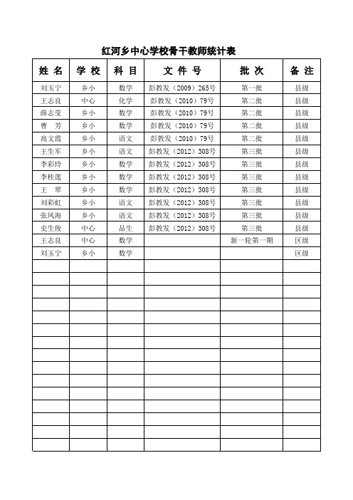 骨干教师统计表