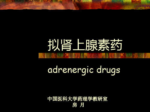 药理学 拟肾上腺素药