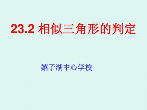 相似三角形判定预备定理