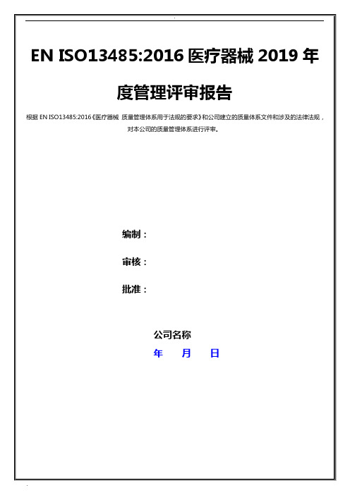 医疗器械2019年度管理评审报告全套资料