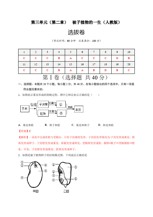 第3单元 (第2章)被子植物的一生(选拔卷)(人教版)(解析版)