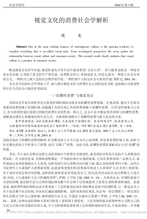 视觉文化的消费社会学解析