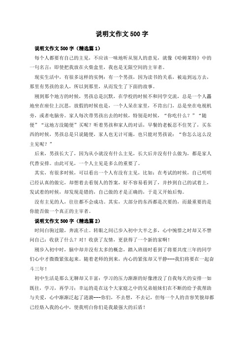 说明文作文500字