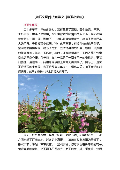 [黄石文坛]朱光的散文《楼顶小菜园》