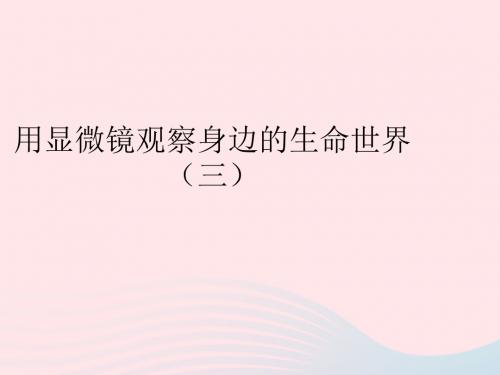 六年级科学下册 第一单元 微小世界 7 用显微镜观察身边的生命世界三课件1 教科版