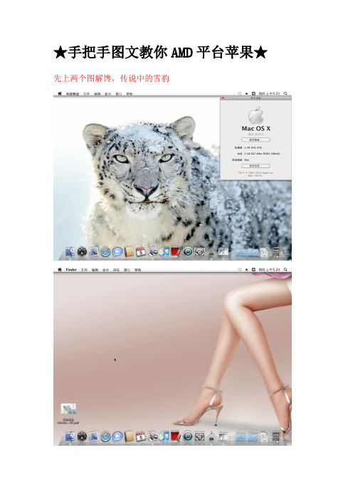 AMD平台安装Mac OS X 10.6.3