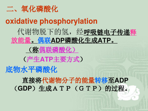 生化-生物氧化二