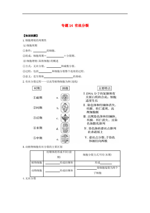 高二生物 专题14 有丝分裂暑假作业(含解析)