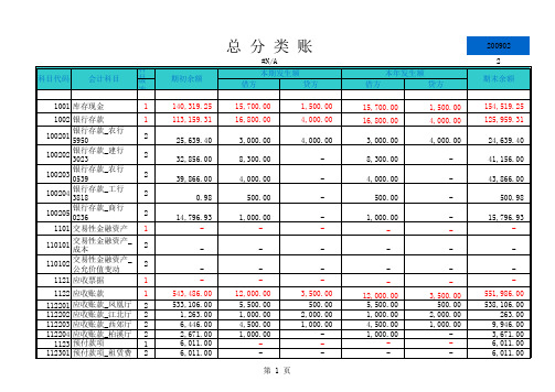 2009年财务报表