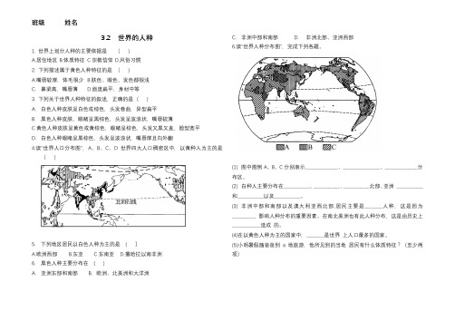 3.2  世界的人种