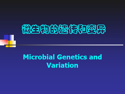 2 微生物的变异1汇总