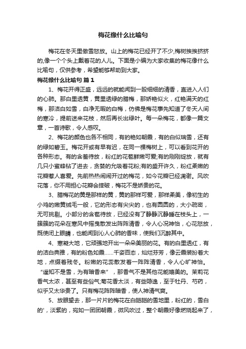 梅花像什么比喻句