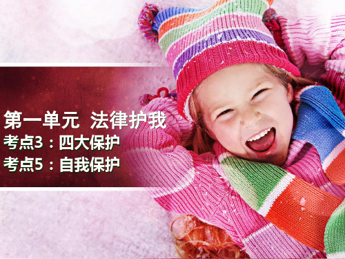 考点3“四大”保护