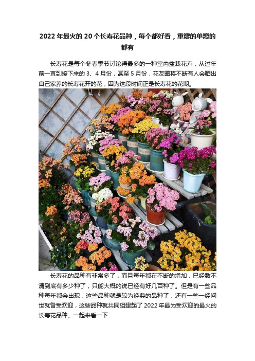 2022年最火的20个长寿花品种，每个都好看，重瓣的单瓣的都有