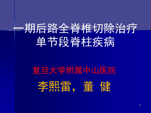 一期后路全脊椎切除治疗 单节段胸腰椎疾病