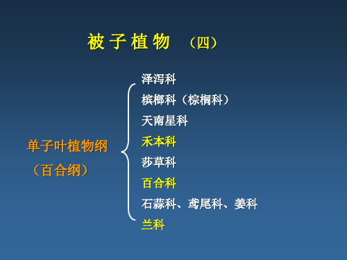 13被子植物5-起源和进化