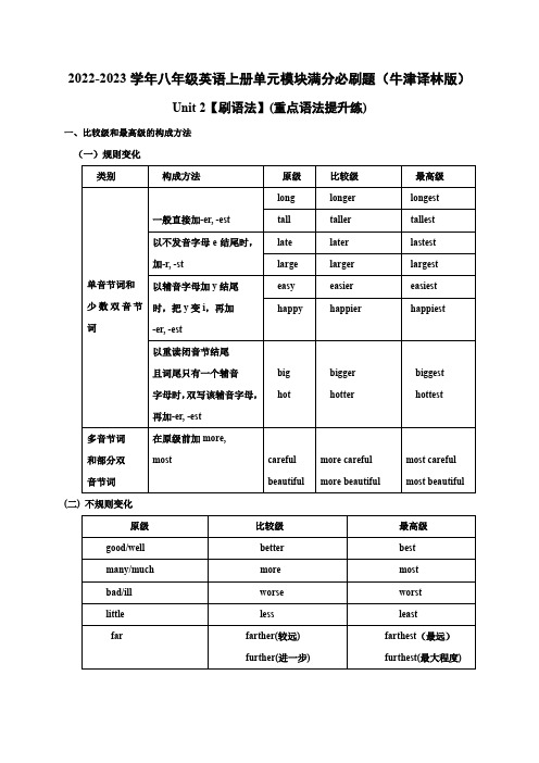 Unit 2【刷语法】(重点语法提升练)-八年级英语上册单元模块满分必刷题