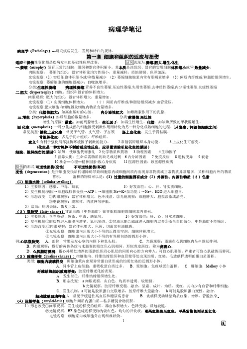 病理学重点总结病理学笔记期末考研复试