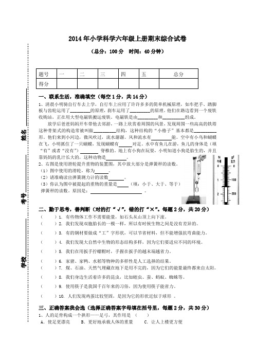 2014年小学科学六年级上册期末综合试卷