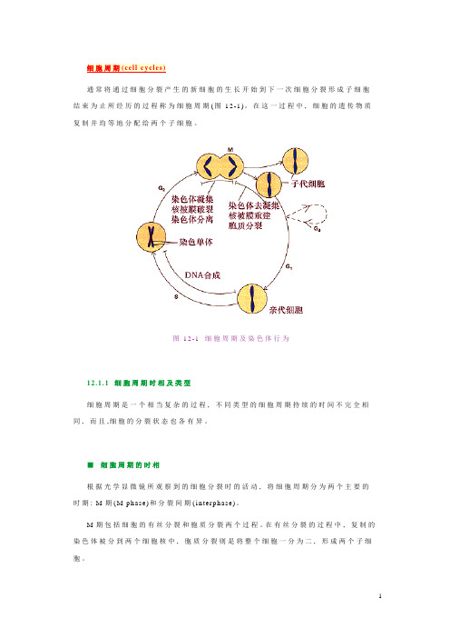 第十二章细胞周期(cellcycles)