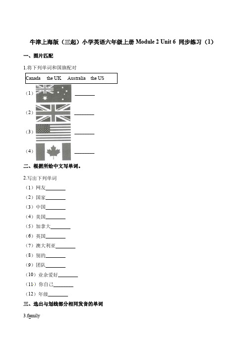 六年级上册英语一课一练-Module2  Unit6(1)∣牛津上海版(三起)(含解析)