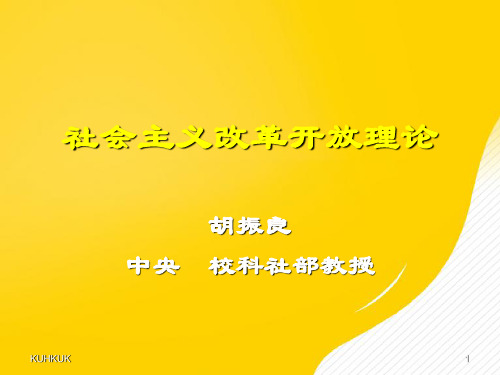 社会主义改革开放理论最全版优秀PPT资料