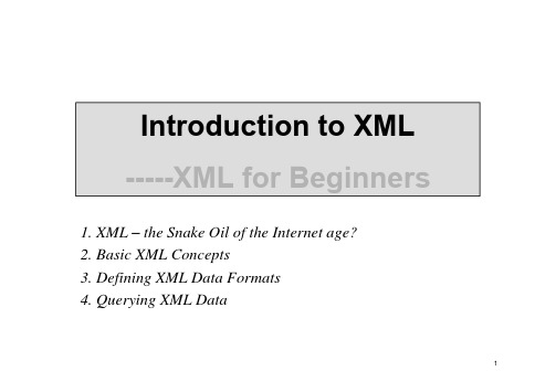 XML应用技术课件