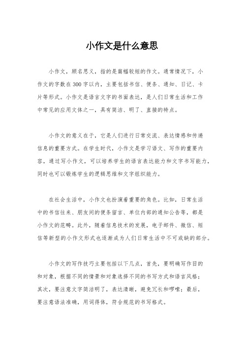 小作文是什么意思