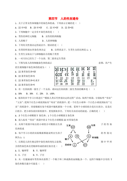 八年级生物下册 7_2_4 人的性别遗传练习题(无答案)(新版)新人教版