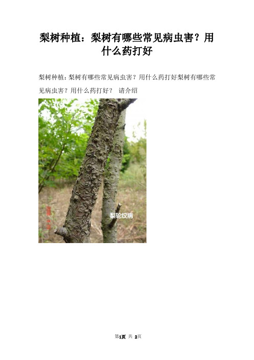 梨树种植:梨树有哪些常见病虫害?用什么药打好