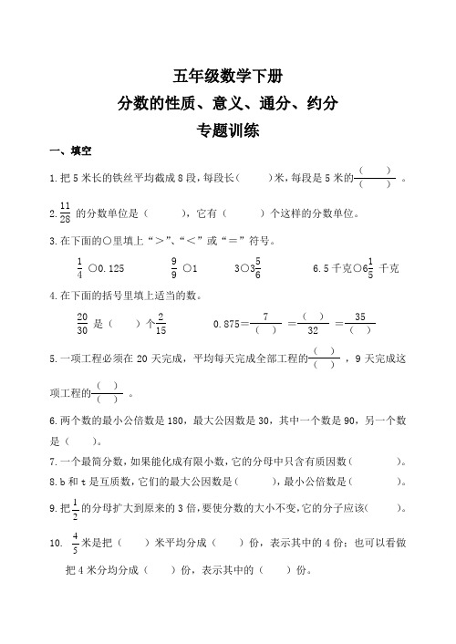 分数意义性质约分通分(专项练习)