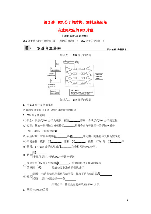 高考生物一轮复习方案 22 DNA分子的结构、复制及基因