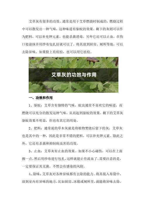 艾草灰的功效与作用,艾草灰能祛痘吗