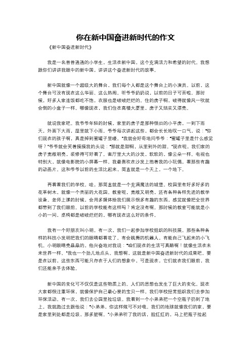 你在新中国奋进新时代的作文