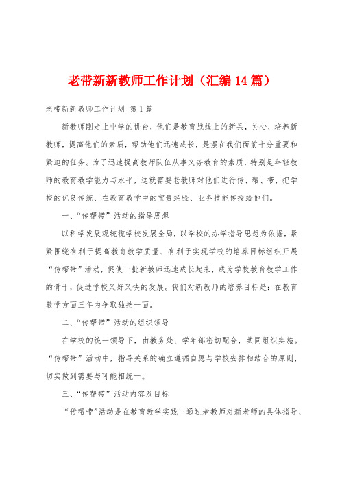 老带新新教师工作计划(汇编14篇)