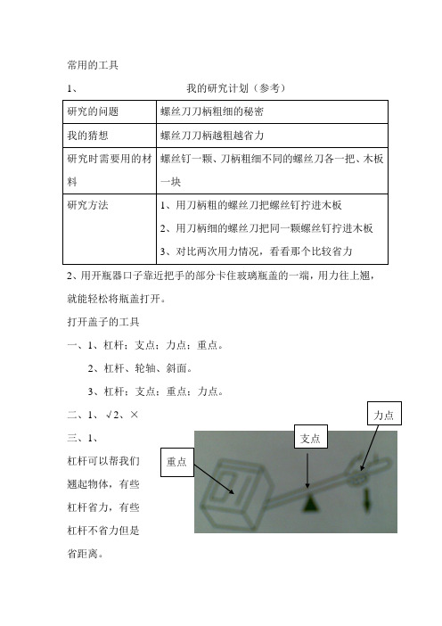 [专题]小学六年级上册第一单元科学知识与能力训练答案