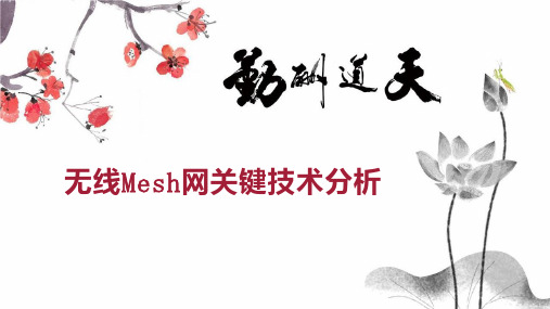 无线Mesh网关键技术分析