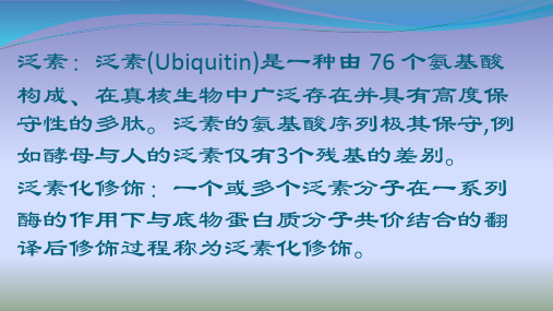 泛素化对蛋白质的调节