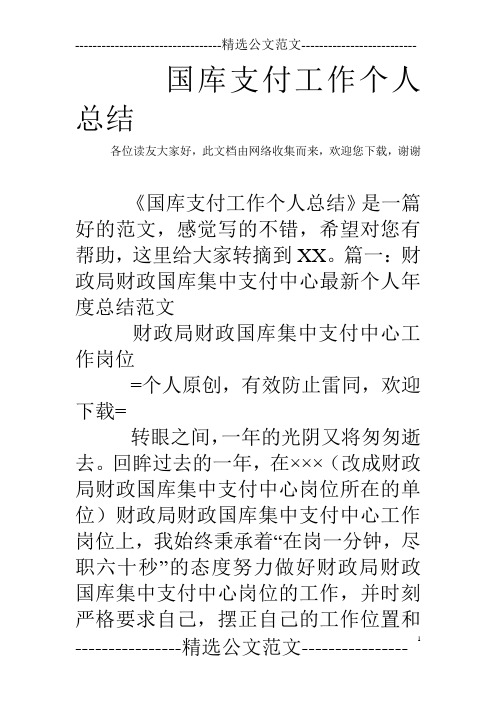 国库支付工作个人总结